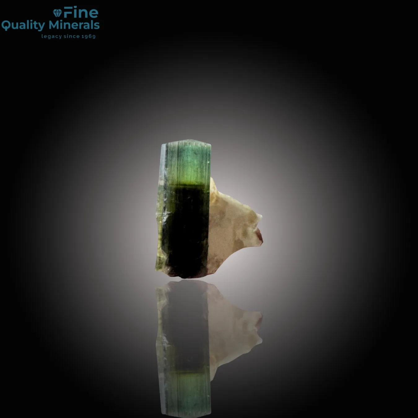 Gemmy Green Tourmaline Paired with Quartz - image 2