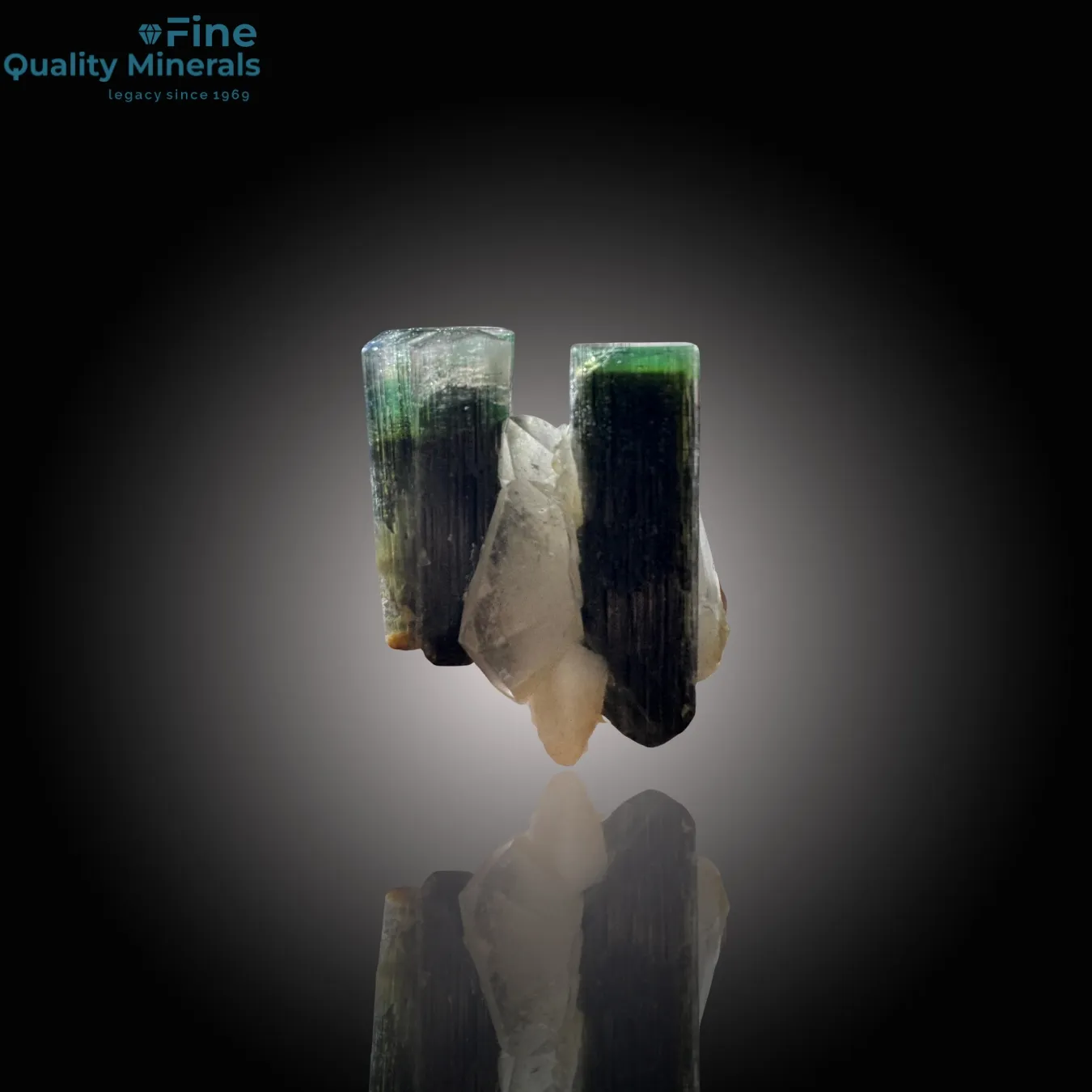 Gemmy Green Tourmaline Paired with Quartz - image 1