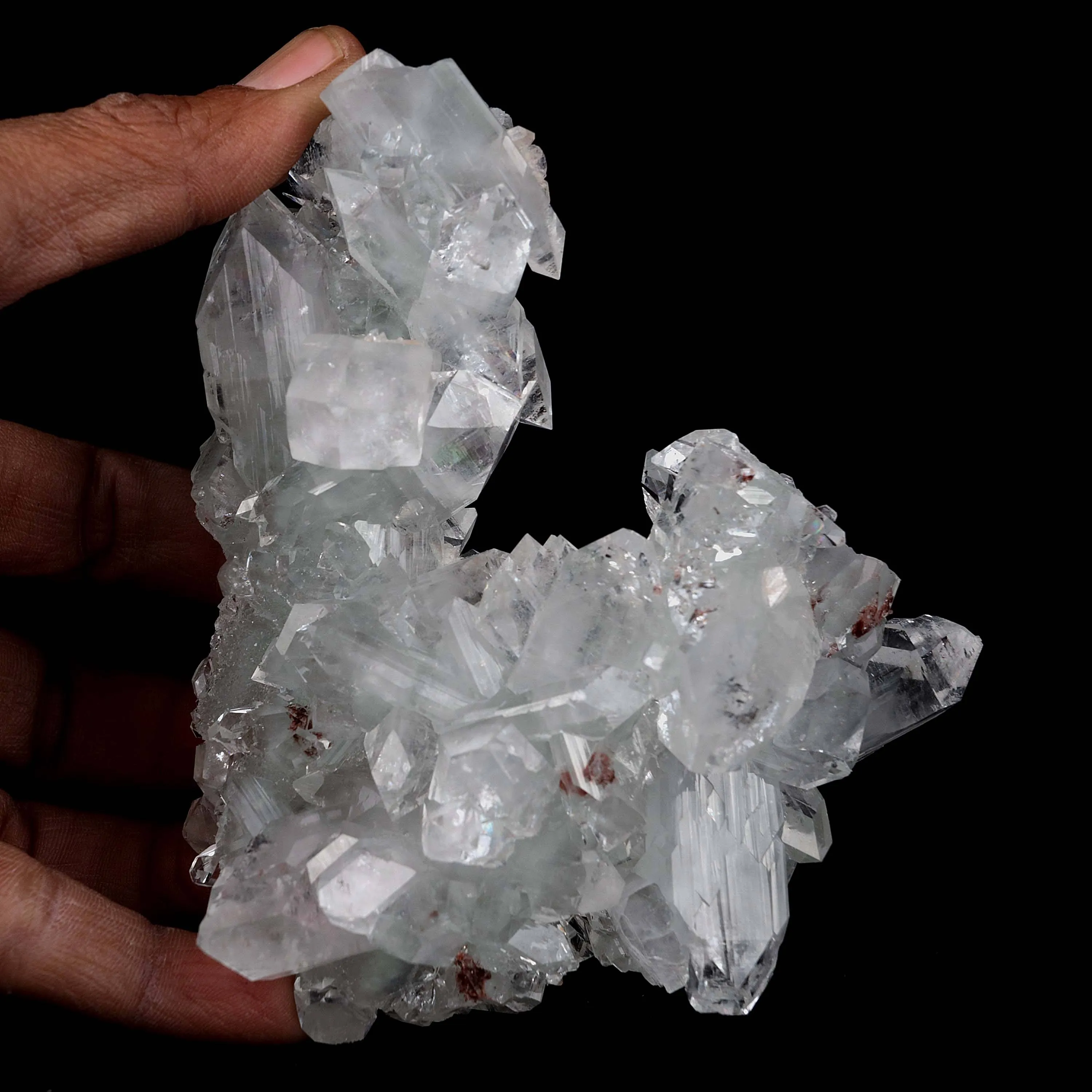 Gemmy Terminated Apophyllite Cluster Natural Mineral Specimen - image 4