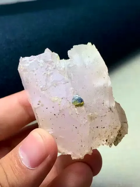 specimen video