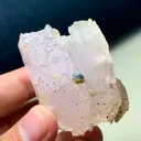 specimen video
