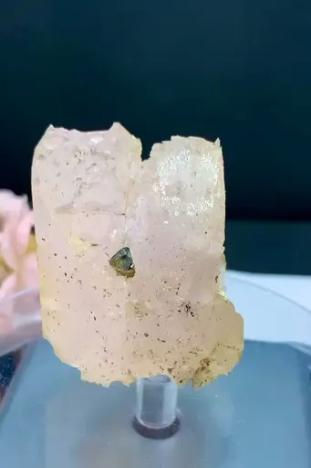 specimen video
