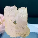 specimen video
