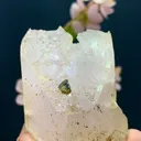 Gemmy Water-Clear Morganite with Tourmaline Crystal - Afghanistan - image 4