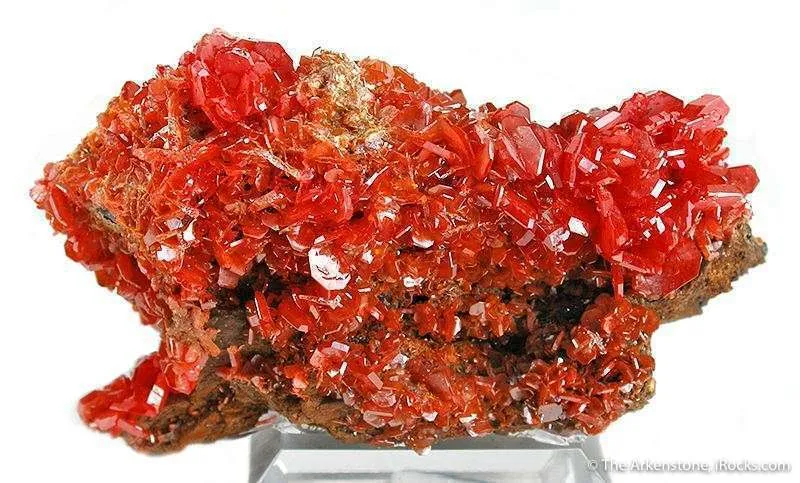 Gemmy Wulfenite - image 2