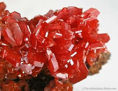 Gemmy Wulfenite image