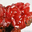 Gemmy Wulfenite - image 1