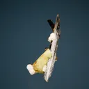 Genthelvite on Aegirine - image 3