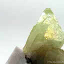 Genthelvite on Albite - image 2