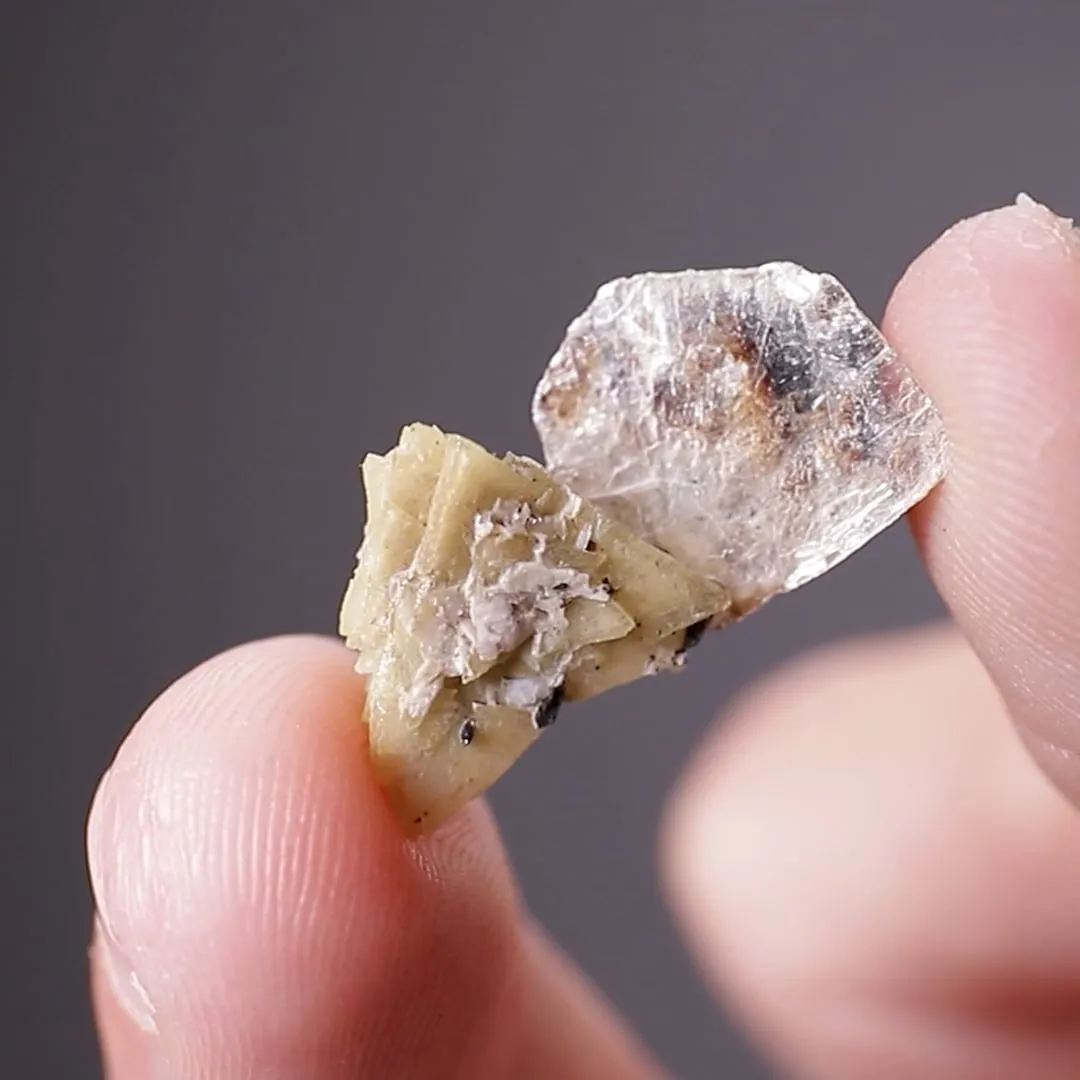 Genthelvite on Polylithionite - image 2