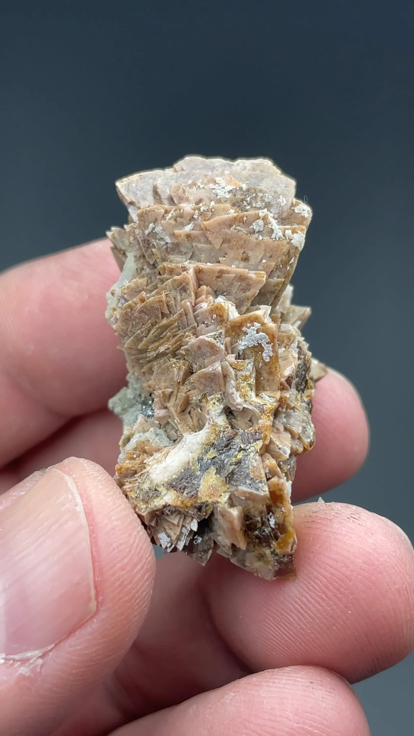 Genthelvite with Quartz - image 2