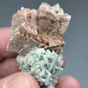 Genthelvite with Quartz, Calcite - image 2