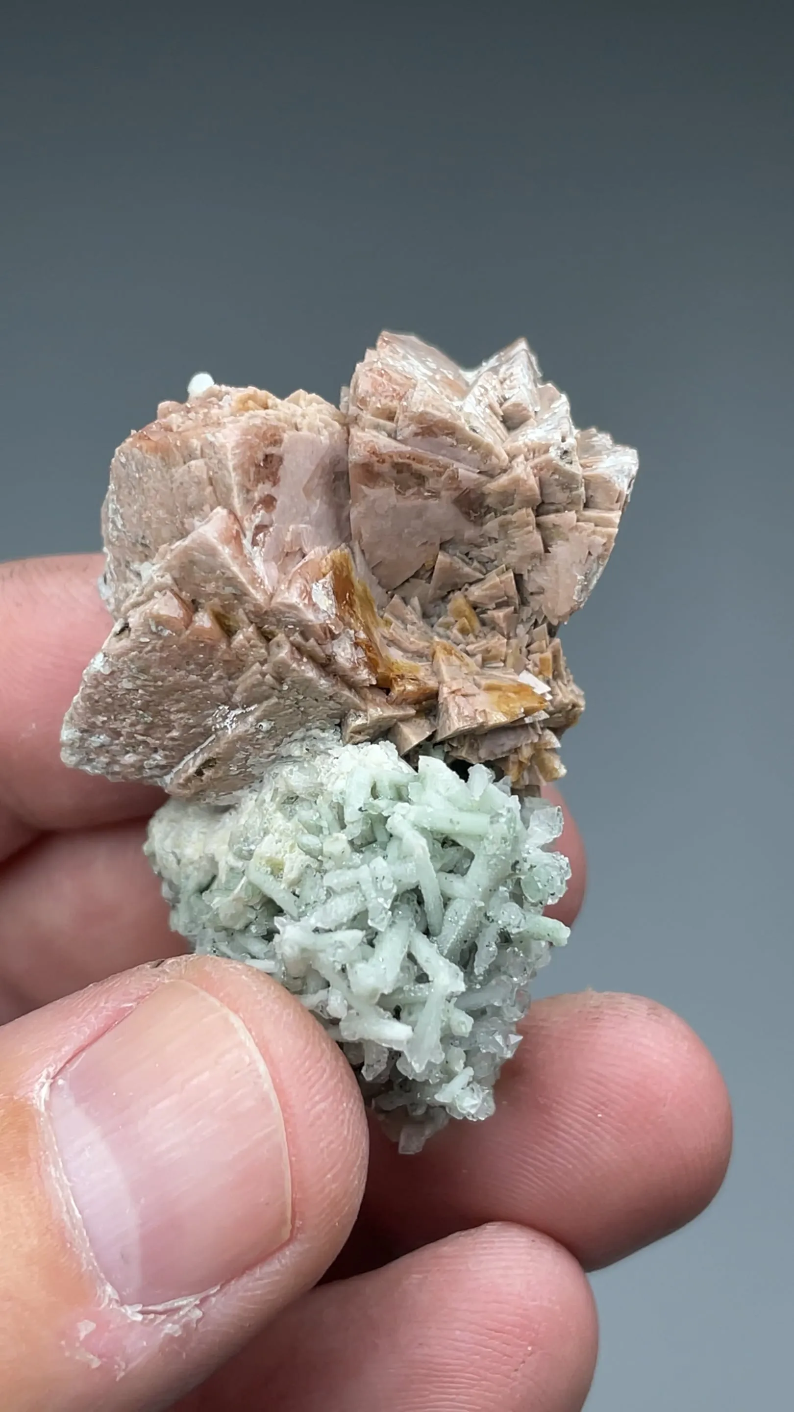 Genthelvite with Quartz, Calcite - image 2