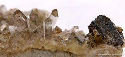 Geocronite (1.5 Cm Xl) - image 3