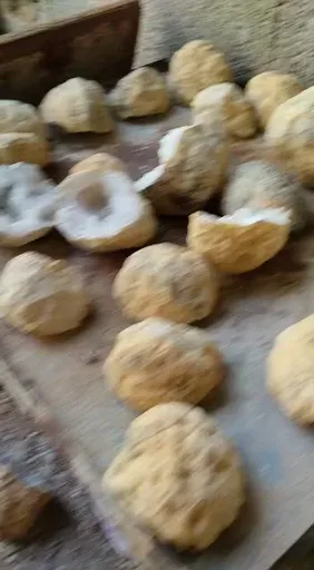 specimen video