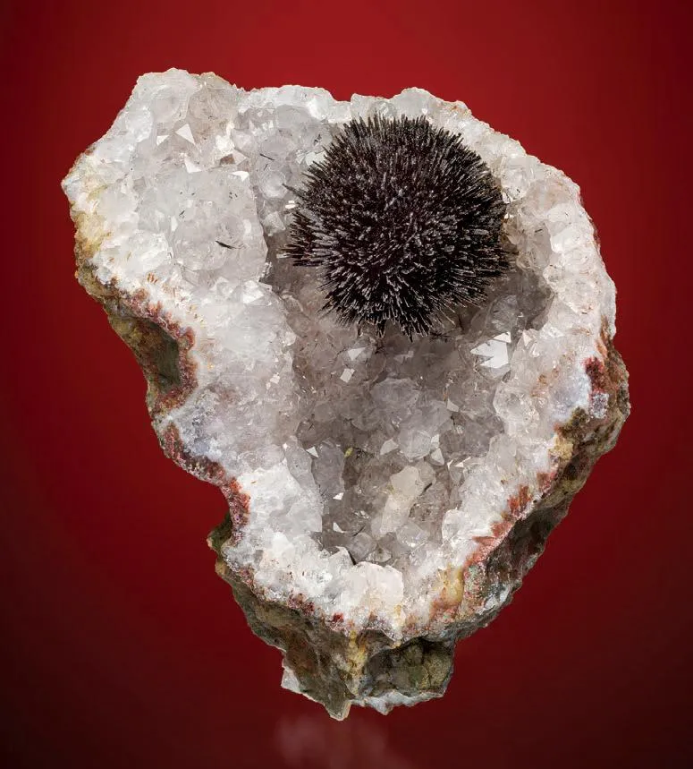 Geothite on drusy Quartz image