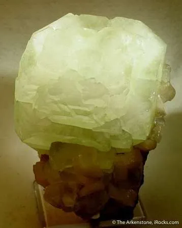 Gigantic Apophyllite Crystal on Stilbite! image
