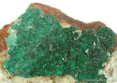 Gillardite on Gaspeite - image 2