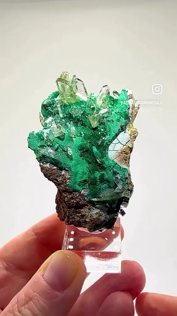 GLASS POCKET MAGIC — Malachite & Barite image