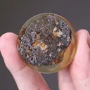 Glaucodot, ALLOCLASITE, Gold and Cobaltite (2 spec & 4 Pol. Mounts) - image 2