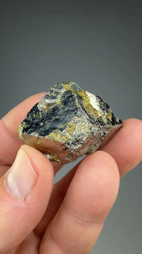 Glaucodot - image 2