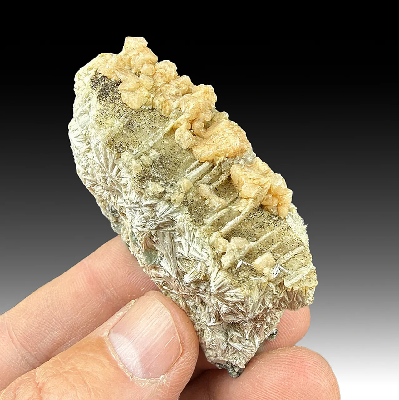 Gmelinite with Pectolite - image 1