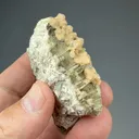 Gmelinite with Pectolite - image 2