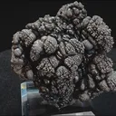 specimen video