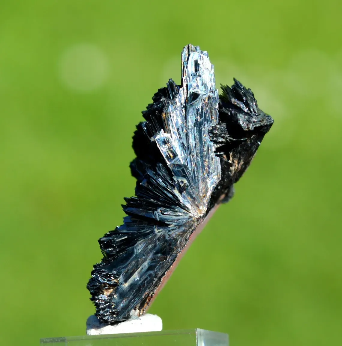 Goethite 15.2 grams - Lake George, Park County, Colorado, USA - image 5