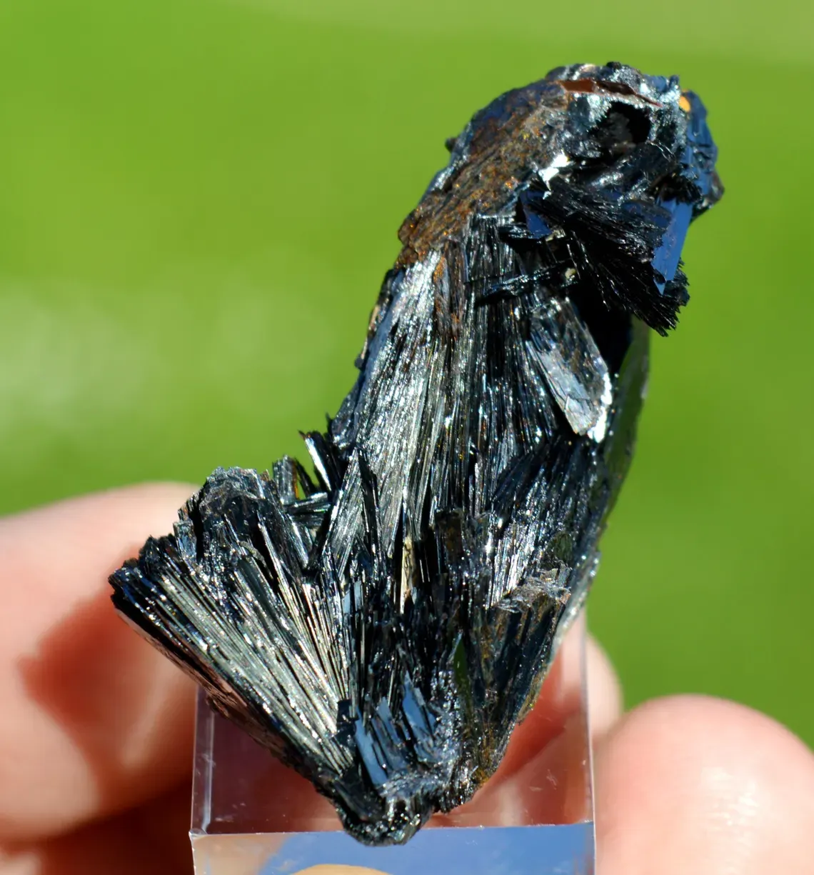 Goethite 19.1 grams - Lake George, Park County, Colorado, USA - image 7