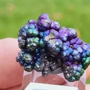 specimen video