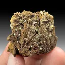 Goethite after Kottigite (O-150) - image 1