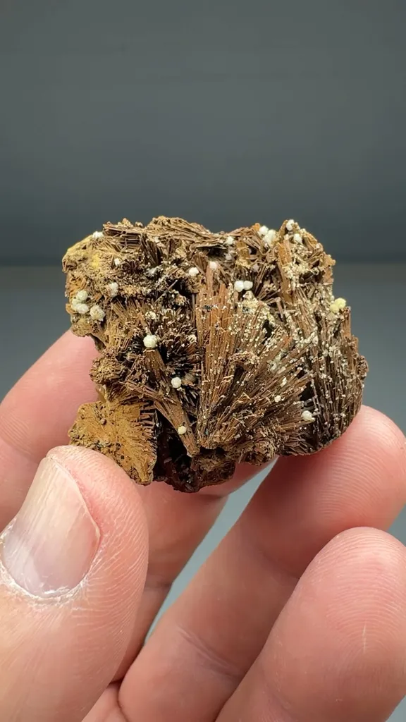 Goethite after Kottigite (O-150) image