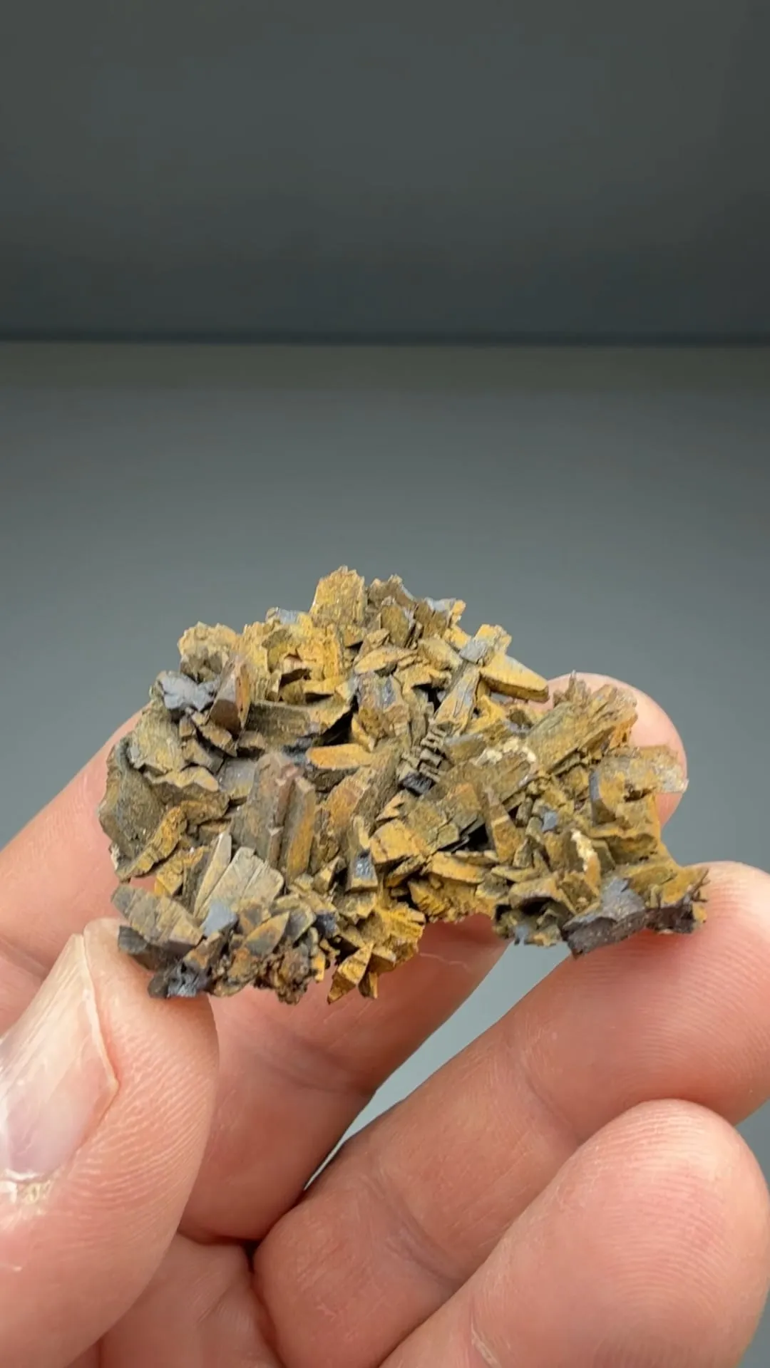 Goethite after Marcasite - image 2