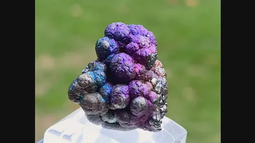 specimen video