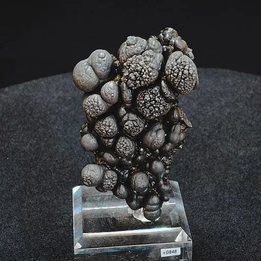 specimen video