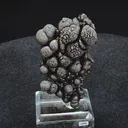 specimen video