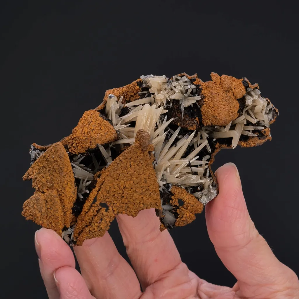 Goethite epimorphs after Calcite with Aragonite - image 2
