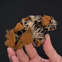 Goethite epimorphs after Calcite with Aragonite - image 2