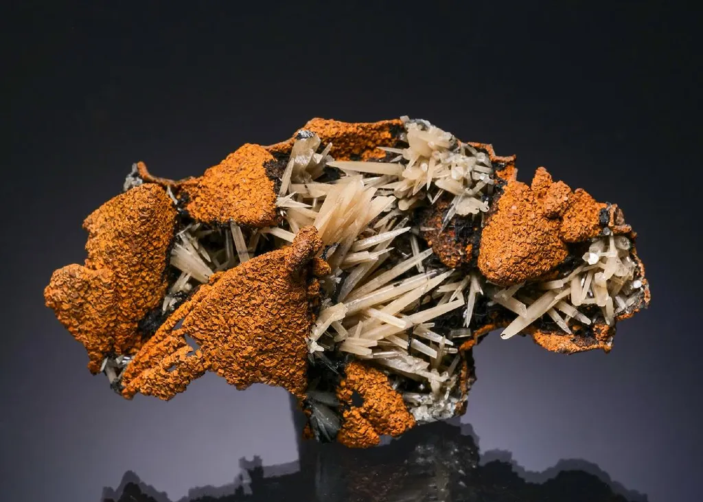 Goethite epimorphs after Calcite with Aragonite image