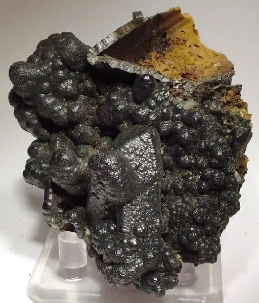 Goethite, Gypsum (Var: Selenite) image