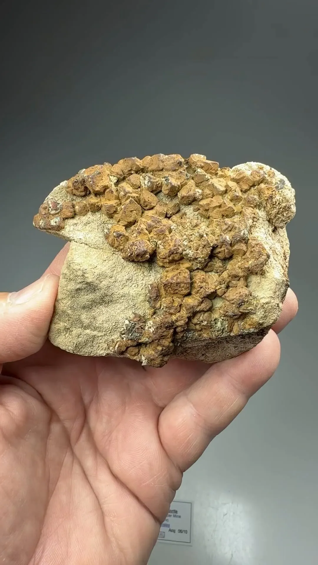 Goethite on Chalcopyrite - image 2