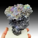 Goethite on Kyanite - image 1