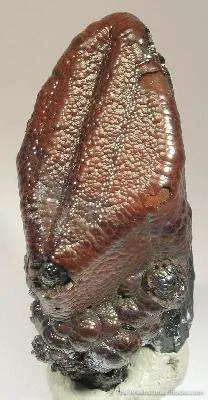 Goethite Ps. Gypsum image