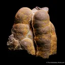 Goethite ps. Hematite - image 4