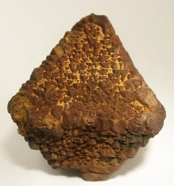 Goethite, Pyrite image