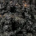 Goethite, Quartz (Var: Smoky Quartz) - image 2