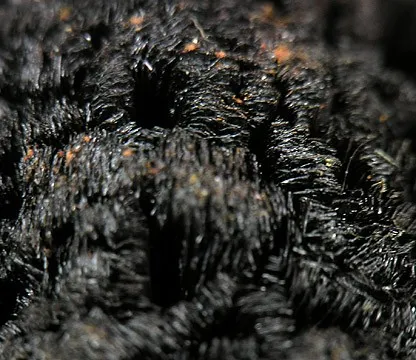 Goethite, Quartz (Var: Smoky Quartz) - image 2