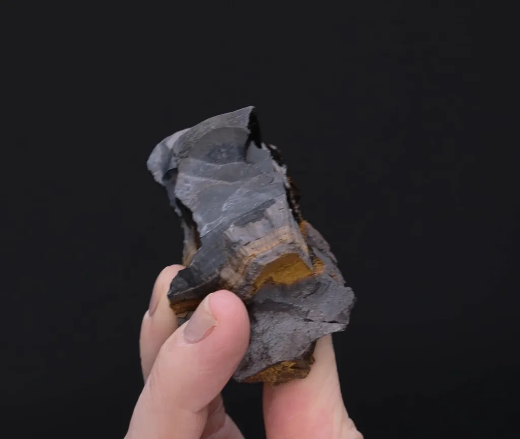 Goethite var. Wood Iron - image 2