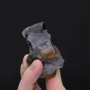 Goethite var. Wood Iron - image 2